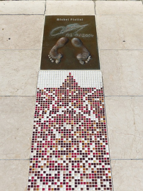 咪咕直播：助力奥体中心青少年训练中心 苏炳添渴望出战奥运广州日报.